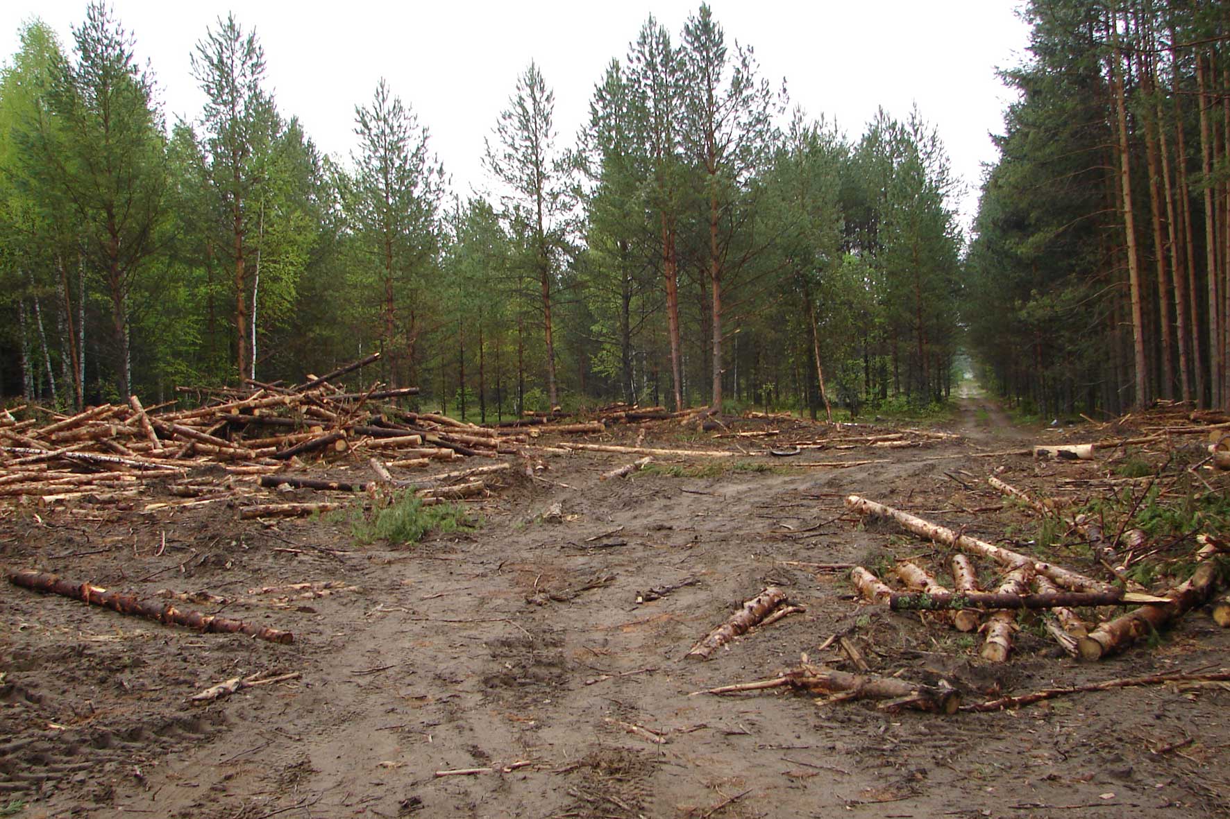 Тёсово-рубленый дом